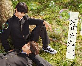 黑帽seo站群优化